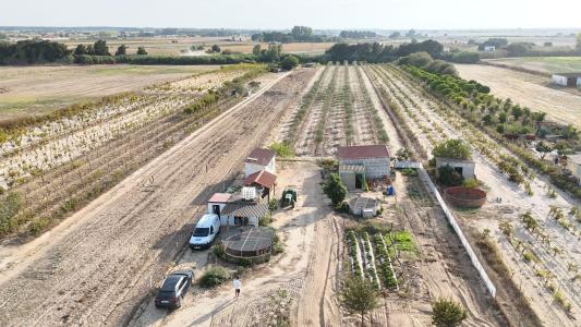 Almeirim, 산타렘 2080-231, 포르투갈