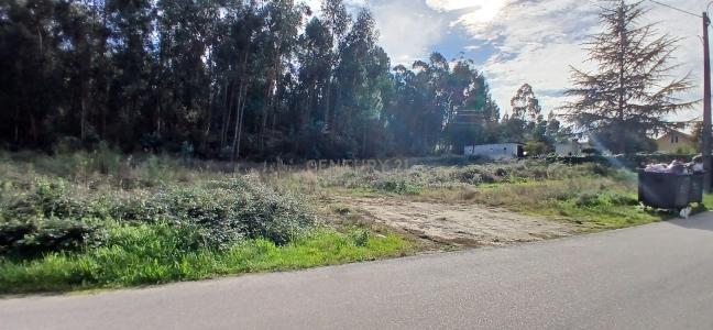 Barcelos, 布拉加 4755-419, 葡萄牙