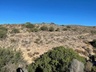 무르시아, Región De Murcia 30500, 스페인