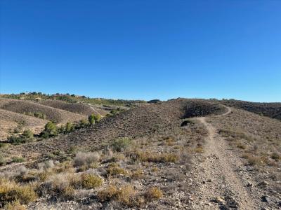 무르시아, Región De Murcia 30500, 스페인