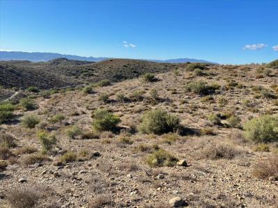 무르시아, Región De Murcia 30500, 스페인