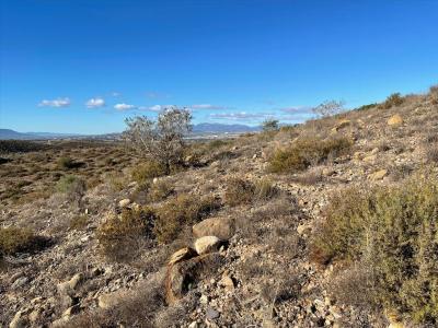 무르시아, Región De Murcia 30500, 스페인