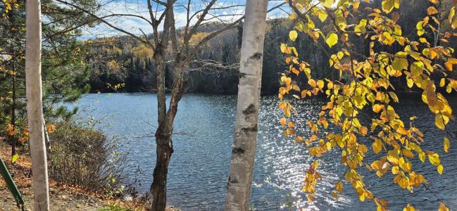 23 Ch. Bellavance, Saint-Marc-du-Lac-Long, Quebec G0L 1T0, Canadá