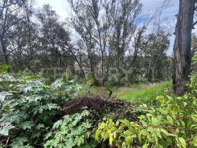 Cto Bosques de Vincenes Mz 1 Lt 13,, Cuautitlán Izcalli, Stato Del Messico 54766, Messico