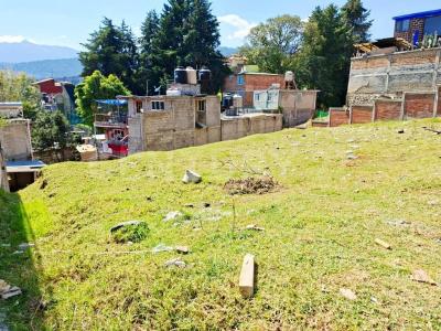 Andador Alamos ,, La Magdalena Contreras, Ciudad De México 10900, Mexico