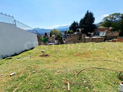 Andador Alamos ,, La Magdalena Contreras, Ciudad De México 10900, Mexico