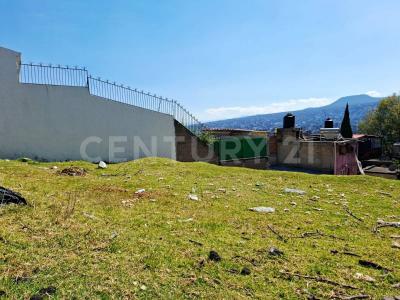 Andador Alamos ,, La Magdalena Contreras, Ciudad De México 10900, Mexico