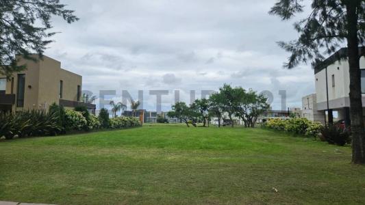 El deslinde 1360, San Vicente, GBA Sur 1865, Argentina