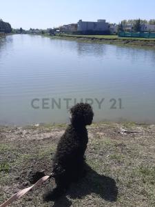 El deslinde 1360, San Vicente, GBA Sur 1865, Argentina