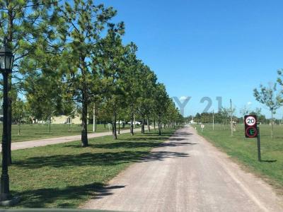 Presidente Perón, GBA Sur 00001, Argentinien