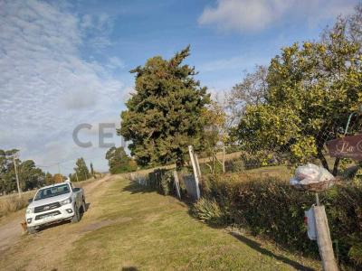 Miramar, Buenos Aires Costa Atlántica 7607, Argentina