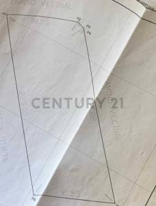 Este, Santa Cruz 00001, Bolivia