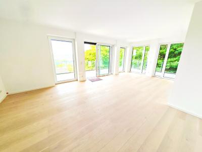 Saarbrücken, Andalucia 66119, 德国