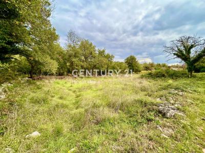 Sveti Lovreč, Sveti Lovreč, Istarska Županija 52448, Croatia