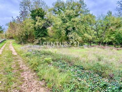 Sveti Lovreč, Sveti Lovreč, Istarska Županija 52448, Croatia