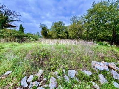 Sveti Lovreč, Sveti Lovreč, Istarska Županija 52448, Croatia