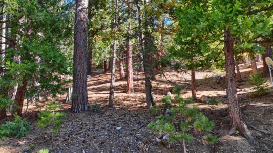 7232 Yosemite Park Way, Yosemite West, California 95389, Stati Uniti