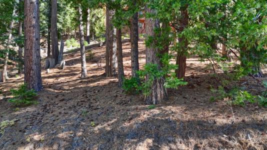 7232 Yosemite Park Way, Yosemite West, California 95389, Stati Uniti