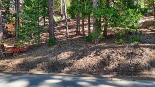 7232 Yosemite Park Way, Yosemite West, California 95389, Stati Uniti