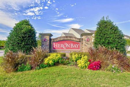 6172 Catalina Dr. , 214, North Myrtle Beach, South Carolina 29582