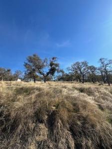 3930 Dunn Road, Valley Springs, California 95252