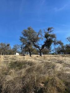 3930 Dunn Road, Valley Springs, California 95252