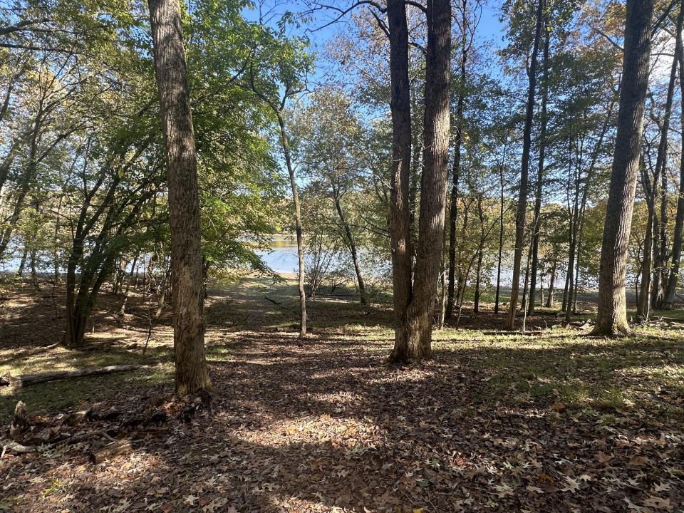 441 Mallard Dr, Dover, Tennessee 37058, États-Unis