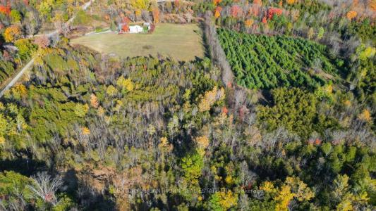3 ACREMAN ROAD, Centre Hastings, Ontario K0K 2K0, Canada