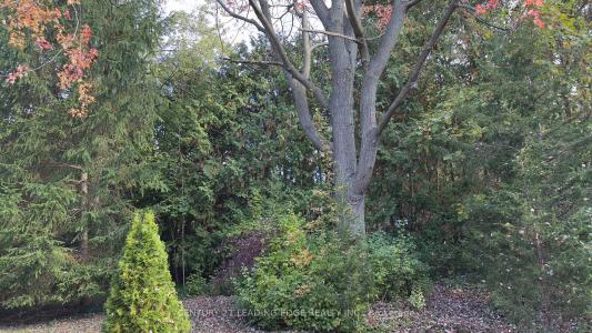 117 WESTWOOD LANE, Richmond Hill, オンタリオ L4C 6X8, カナダ