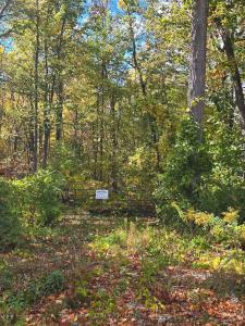 414 LIMERICK STREET, Innisfil, אונטריו L0L 1K0, קנדה 