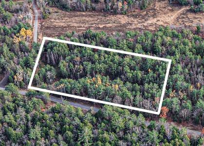 1036 HOPKINS ROAD, Gravenhurst, אונטריו P1P 1R3, קנדה 