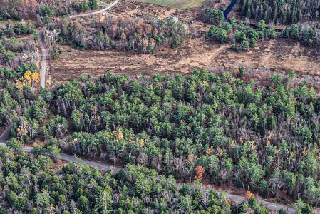 1036 HOPKINS ROAD, Gravenhurst, Онтарио P1P 1R3, Канада