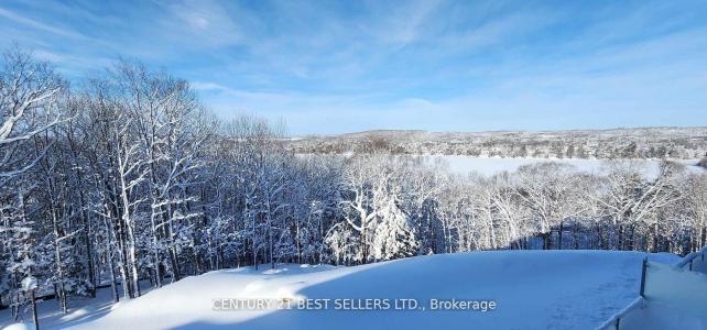 29 - 2 HORIZON LANE, Huntsville, 安大略省 P1H 0G6, 加拿大