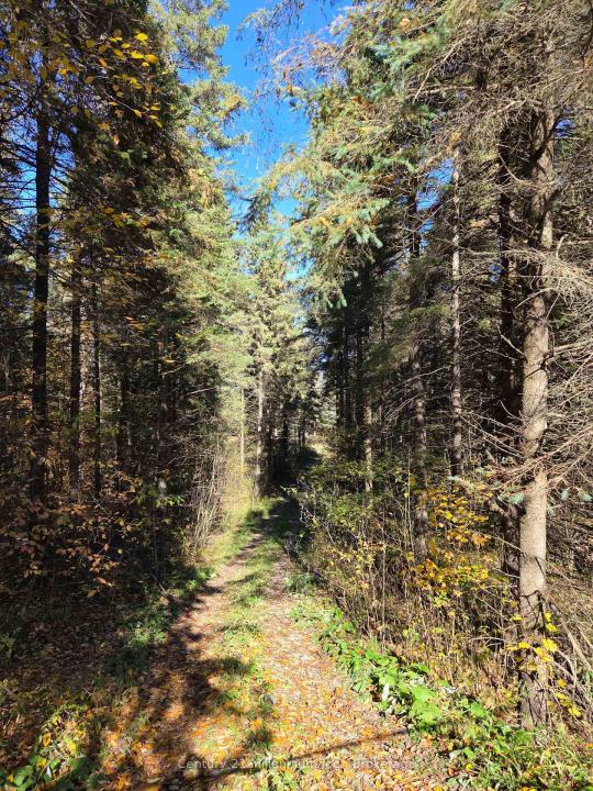 627383 15 SIDE ROAD, Mulmur, Ontario L0N 1M0, Canada