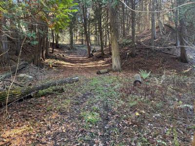 627383 15 SIDE ROAD, Mulmur, Ontario L0N 1M0, Canada