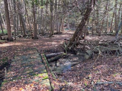 627383 15 SIDE ROAD, Mulmur, Ontario L0N 1M0, Canada