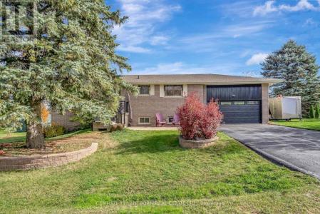 456 OLD SURREY LANE, Kawartha Lakes (bobcaygeon), Ontario K0M 1A0, Canada