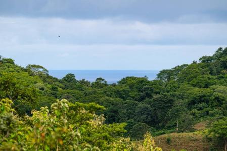 Coroico - Pinilla , Avellanas Tamarindo Santa Cruz, Guanacaste 50501, Costa Rica