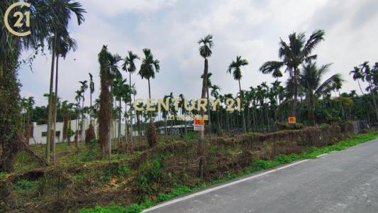 中柳段, 핑동 , Pingtung County 900, 대만