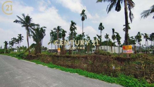 中柳段, 핑동 , Pingtung County 900, 대만