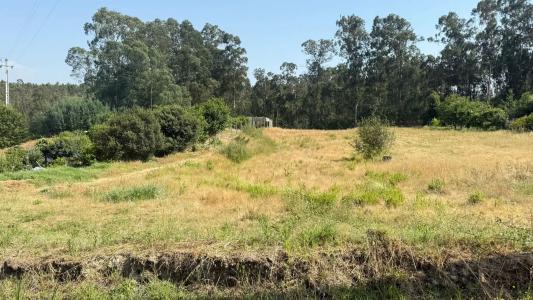 阿威羅, 阿威羅 3810-906, 葡萄牙