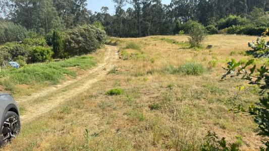 阿威羅, 阿威羅 3810-906, 葡萄牙