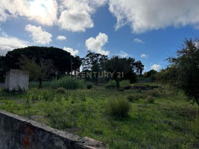 Sintra, Lisboa 2710-413, Portugal