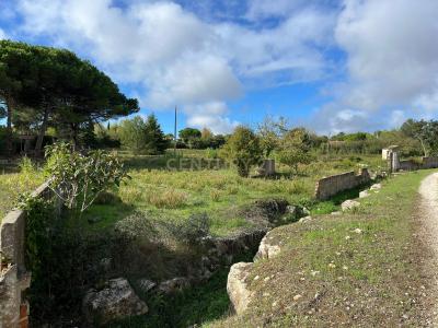 Sintra, Lisboa 2710-413, Portugal
