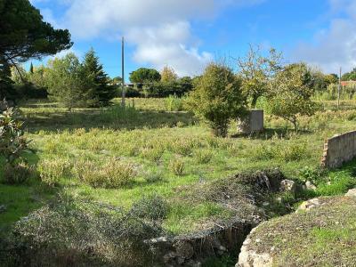 Sintra, Lisboa 2710-413, Portugal
