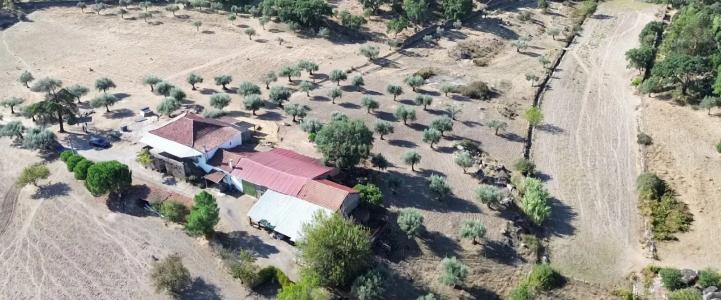 Castelo Branco, Castelo Branco 6000-000, Portugal