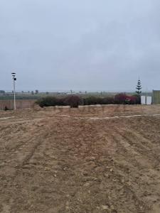 PREDIO RUSTICO SECTOR MATIAS PREDIO SIERRA MAESTRA UC , Chincha, Ica 00001, Peru