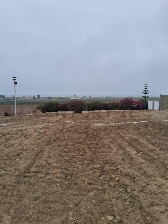 PREDIO RUSTICO SECTOR MATIAS PREDIO SIERRA MAESTRA UC , Chincha, Ica 00001, 秘魯