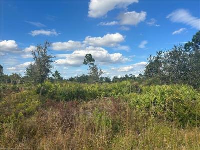 8214 Granada Boulevard, Sebring, Florida 33872, Stati Uniti