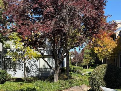 6452 Buena Vista, Newark, Kalifornien 94560, USA